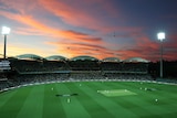 Photo of Adelaide Oval day-night Test