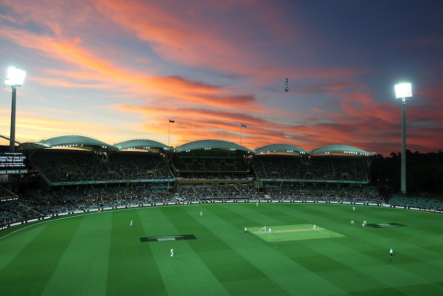 Photo of Adelaide Oval day-night Test