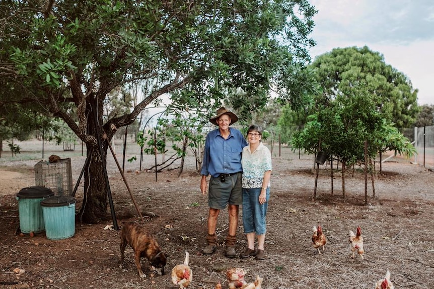A couple standing in a yard with trees in the background and chooks in the foreground.