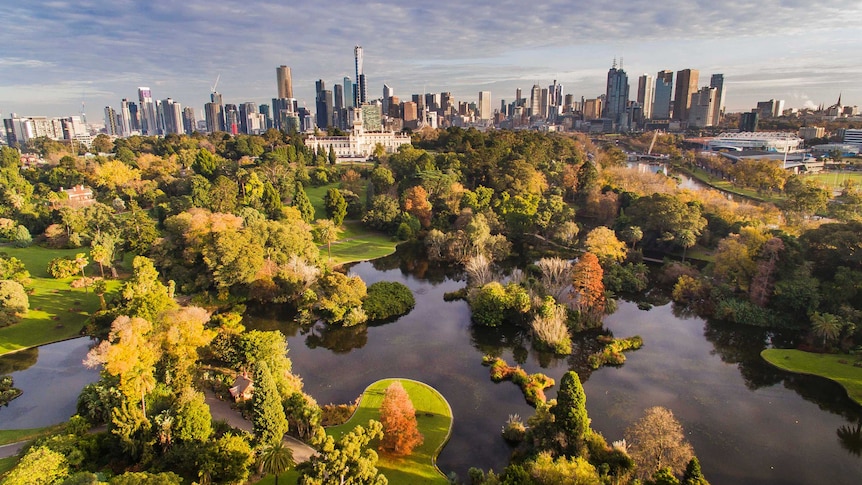 Overhead shot of Royal Botanic Gardens Victoria ornamental lake with city skyline in background.