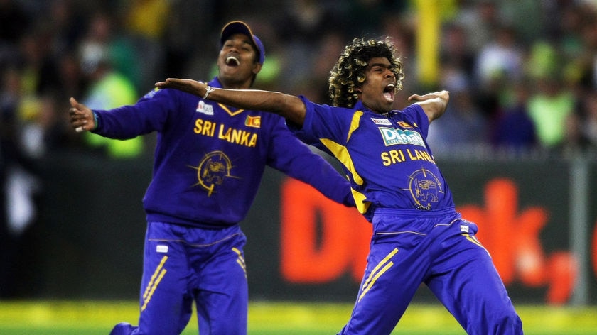 Lasith Malinga celebrates a wicket
