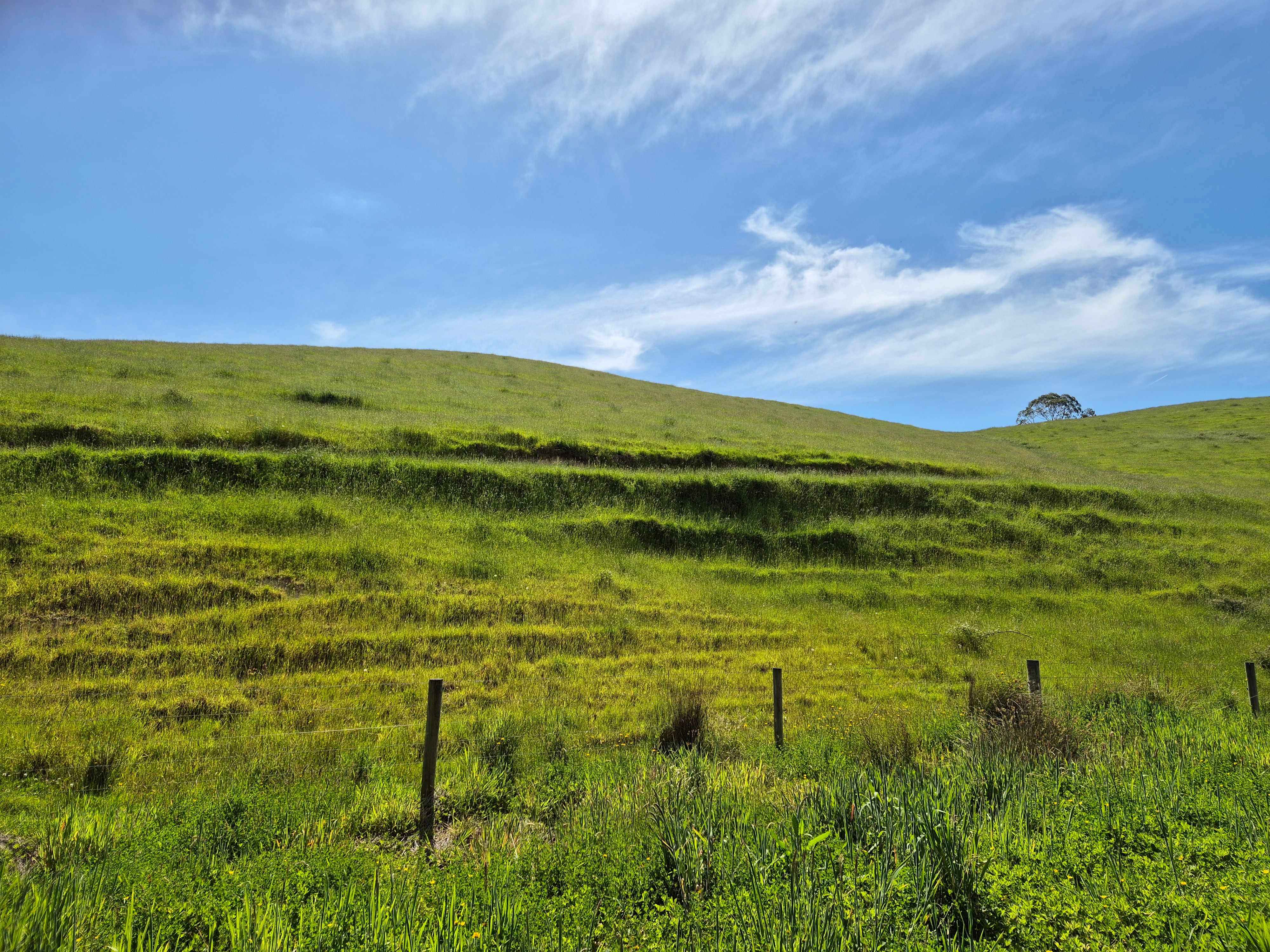 Uma colina coberta de grama verde com um céu azul acima.