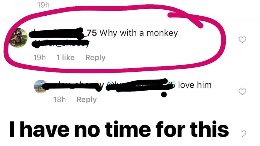 A circled comment on Instagram where Eddie Betts is referred to as a 'monkey'.