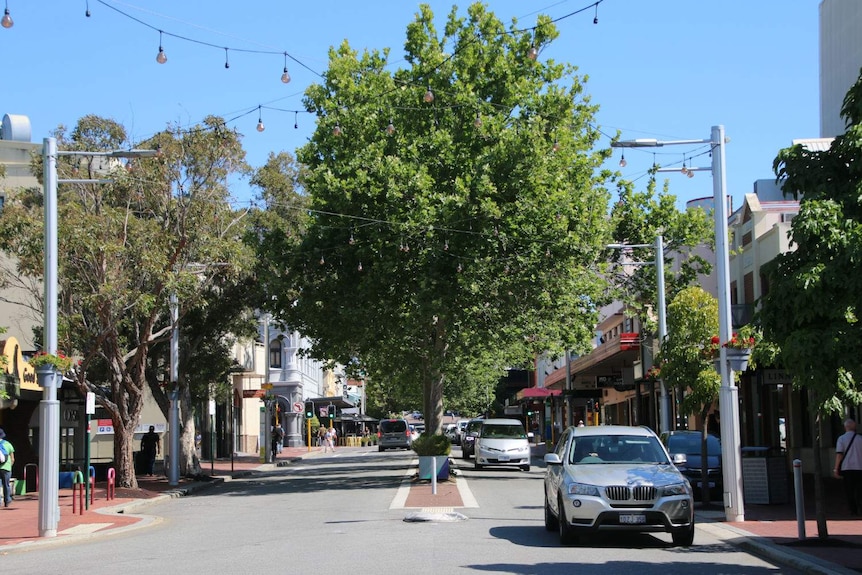 The main street in Subiaco lined with green trees.