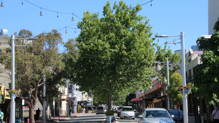 The main street in Subiaco lined with green trees.