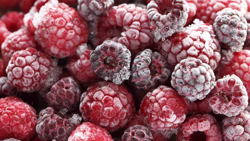 A close-up of frozen raspberries
