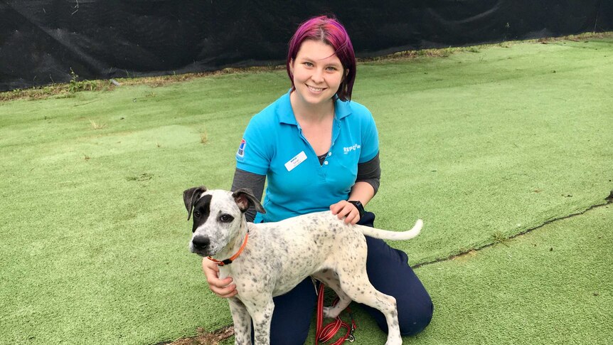 Sarah Scott plays with a puppy at the RSPCA shelter in Canberra.