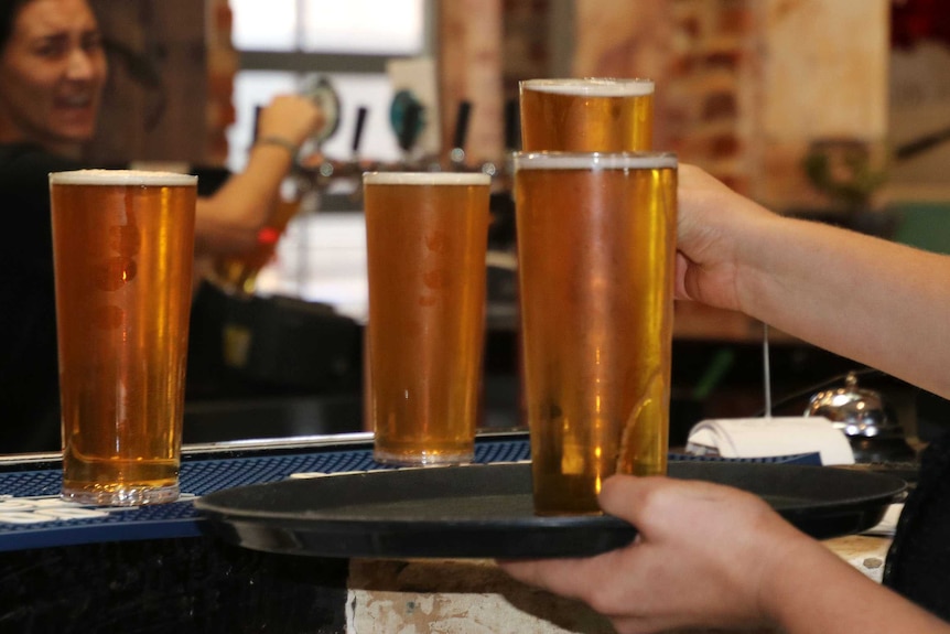 Pints of beer being loaded from a bar onto a tray.