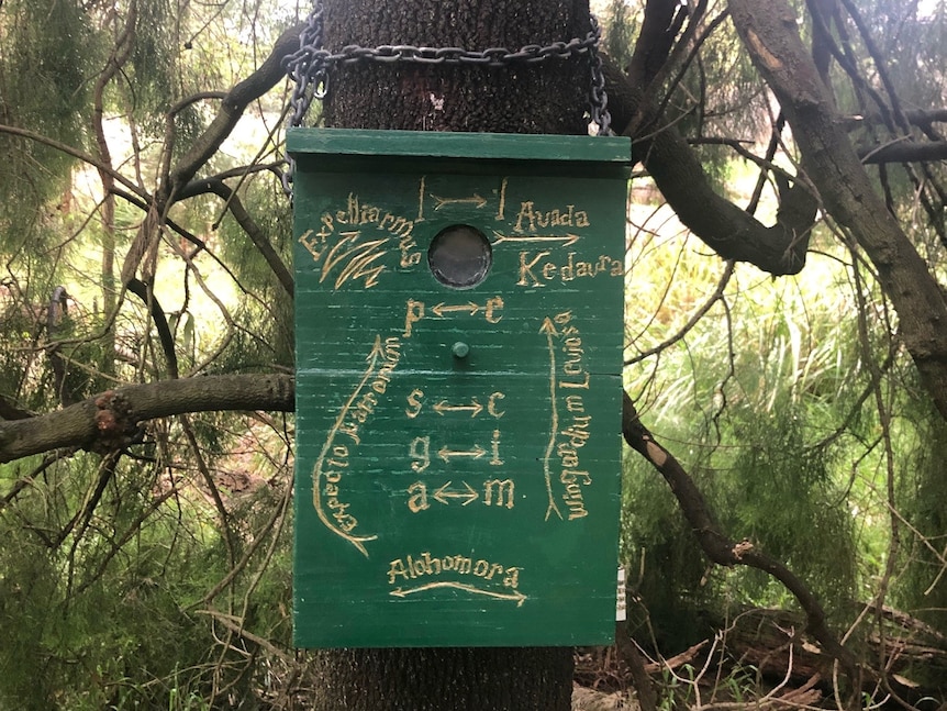 A mysterious box with strange lettering attached to a tree