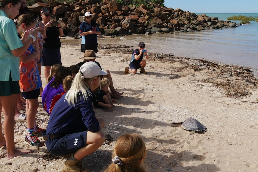 A group watching a turtle return to the water.
