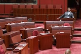Senator Jordon Steele-John sits alone at the back of an empty Senate chamber