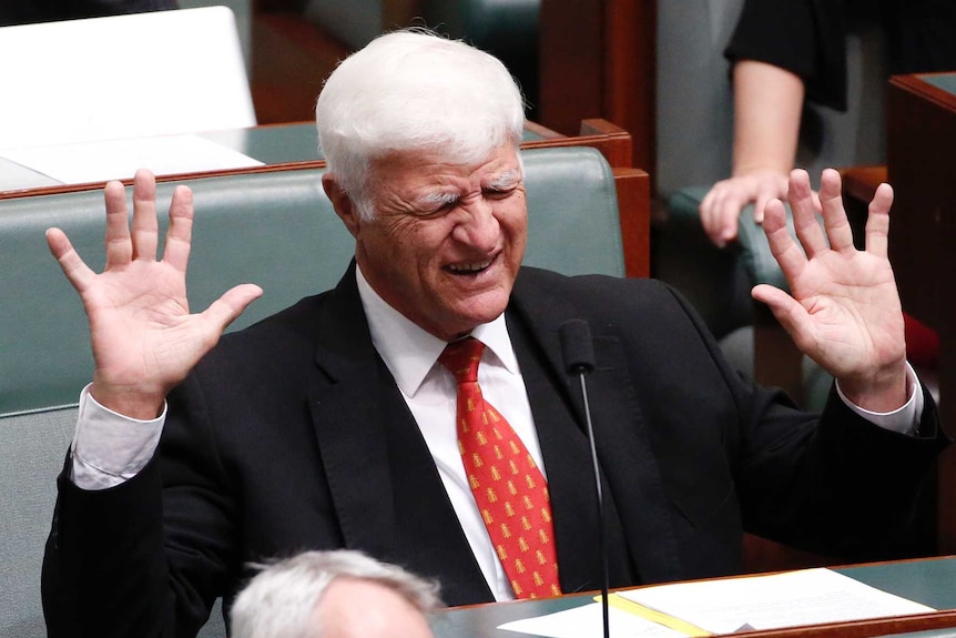 Mr Katter has his hands up in the air and is grimacing whilst sitting on the crossbench. His eyes are closed.