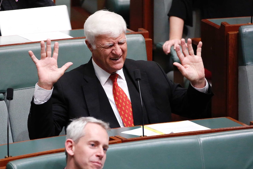 Bob Katter raises arms in question time