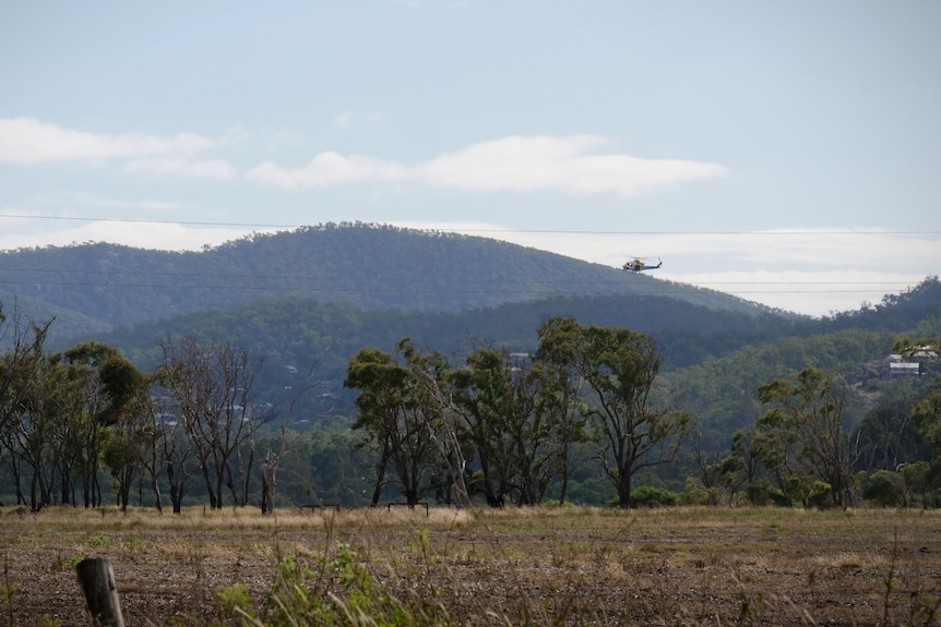 A rural paddock, with hills in the distance and a helicopter can be seen flying low