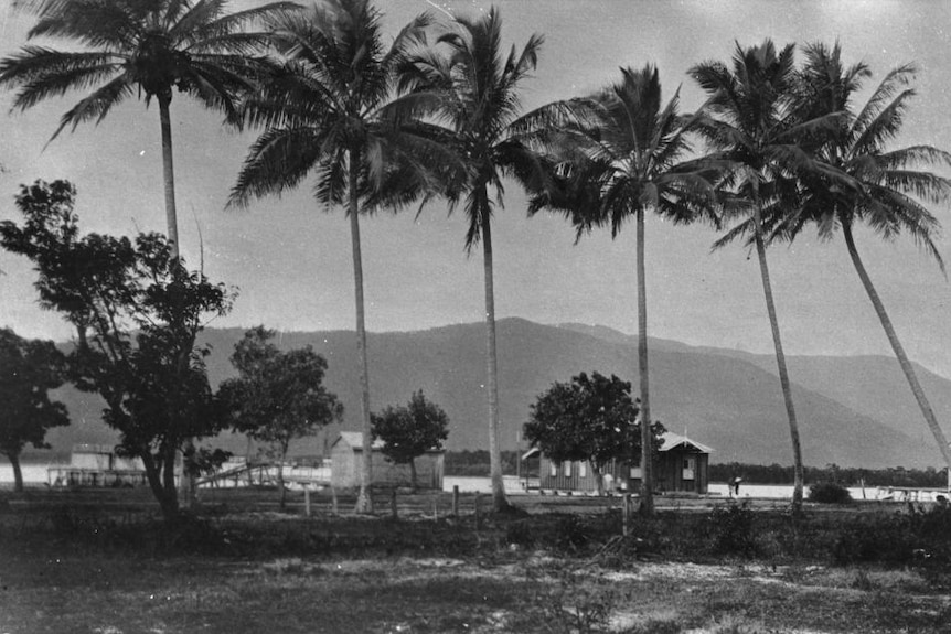 The cairns Esplanade of 1922 was a very different scene to what tourists see today. 