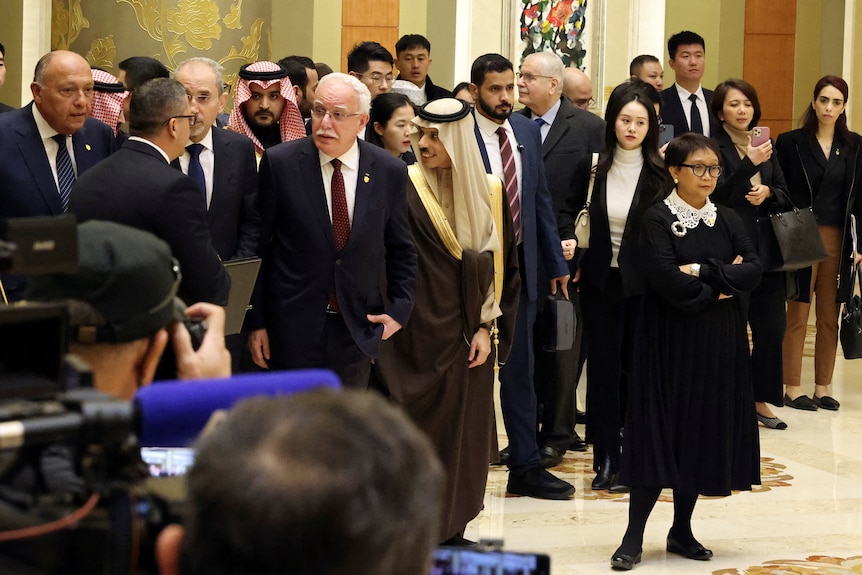 阿拉伯和伊斯兰国家外长联合代表团到访北京。