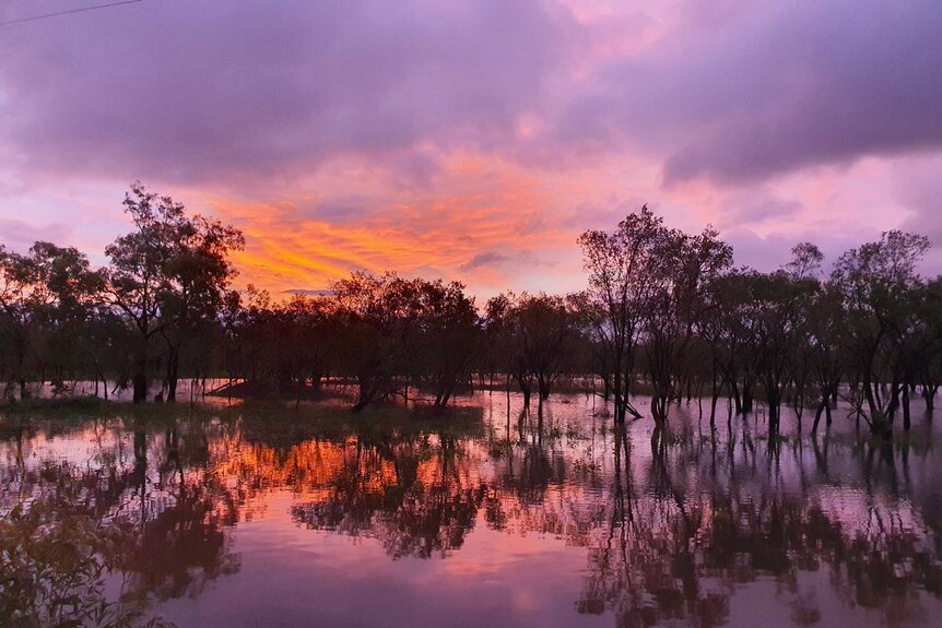 A photo of a paddock full of water taken at sunset.