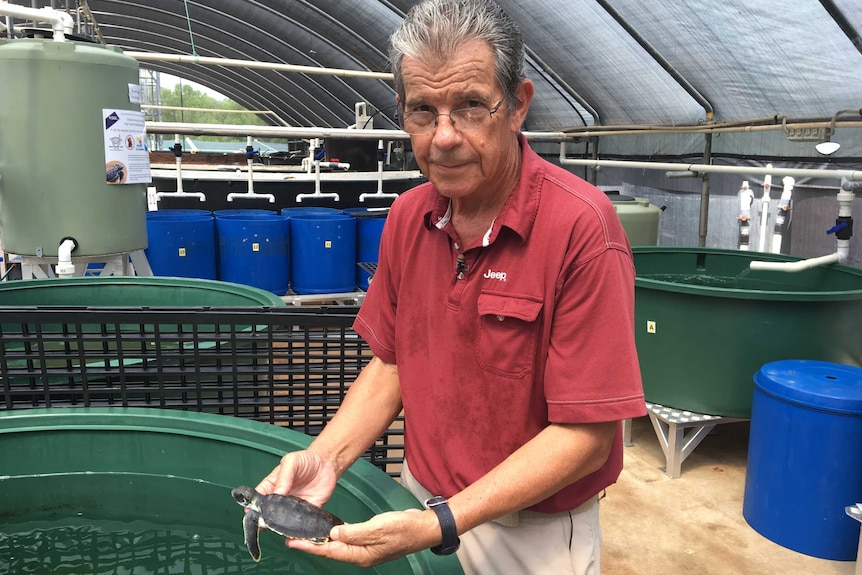 A man holds a turtle by a pool of water.