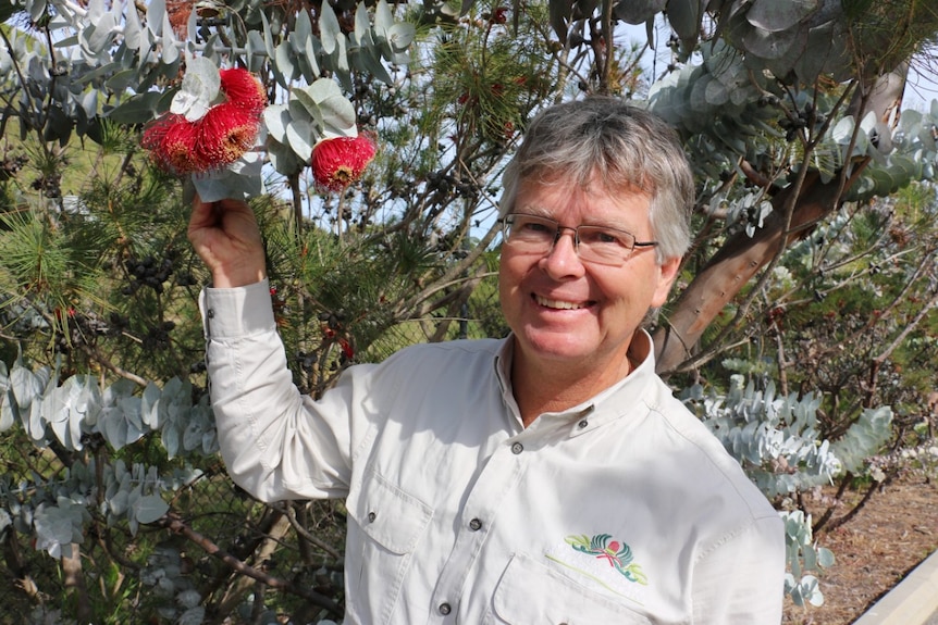 A man wearing a long-sleeved grey shirt stands holding a red flower attached to a tree.