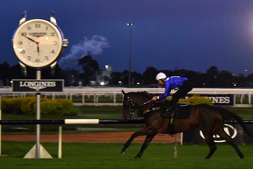 Winx completing trackwork in Sydney on Thursday morning