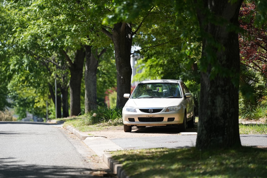 A white car parked on a nature strip on a street with large trees.