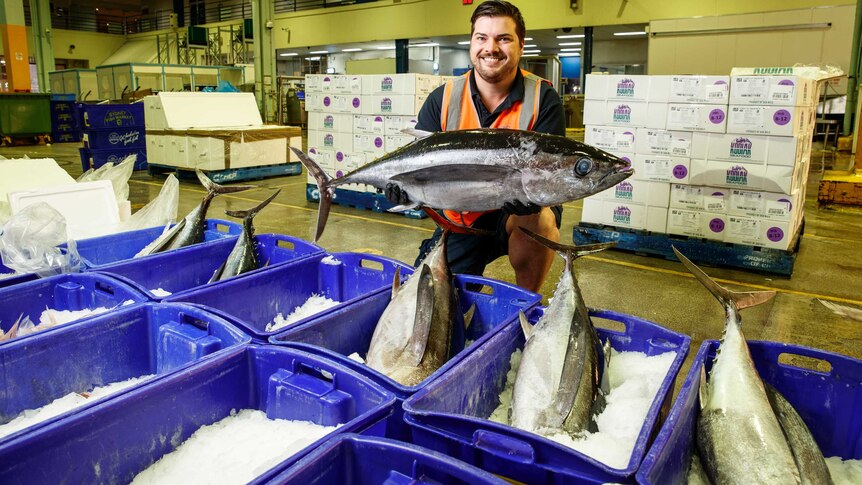 Man in fluoro vest holding a tuna over cases of fish at a markets