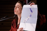 New Zealand Prime Minister Jacinda Ardern holds a map with blue dots on it. 