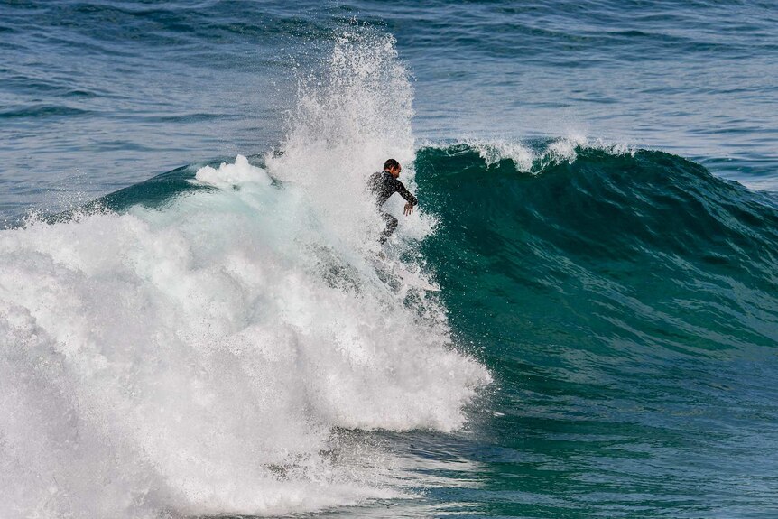 A man in a wetsuit catches a wave.