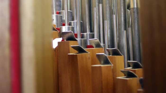 Organ pipe ranks with wooden pipes in front
