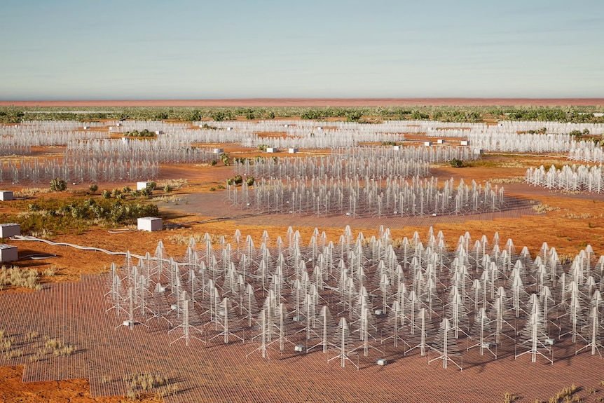 Tree-like metal structures, grouped in large circles are spotted in red dirt.