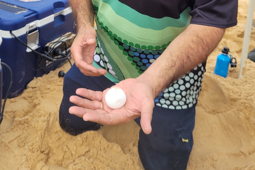 A man holding a Loggerhead Turtle Egg