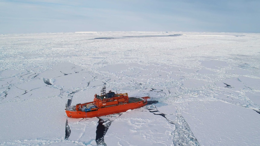 Aurora Australis in pack ice