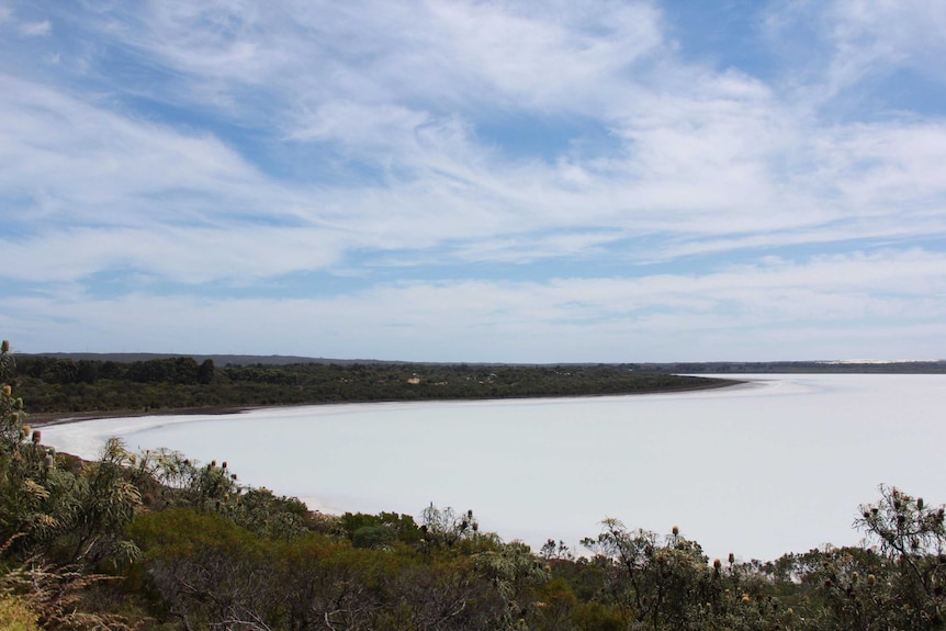 Pink Lake, pictured in in 2017, appears white and no longer pink.