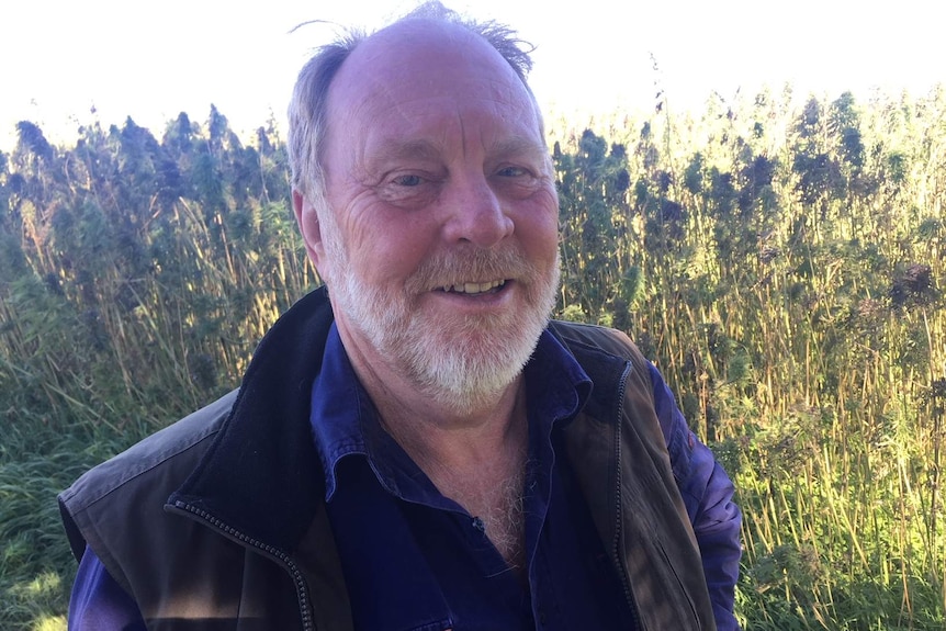 Man facing the camera with crops in the background