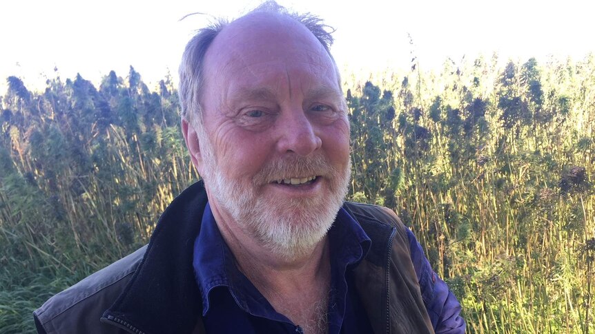 Man facing the camera with crops in the background