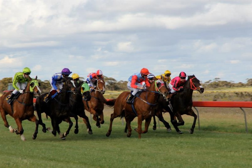 A group of horses are running on a racetrack, being ridden by jockeys wearing colourful outfits.