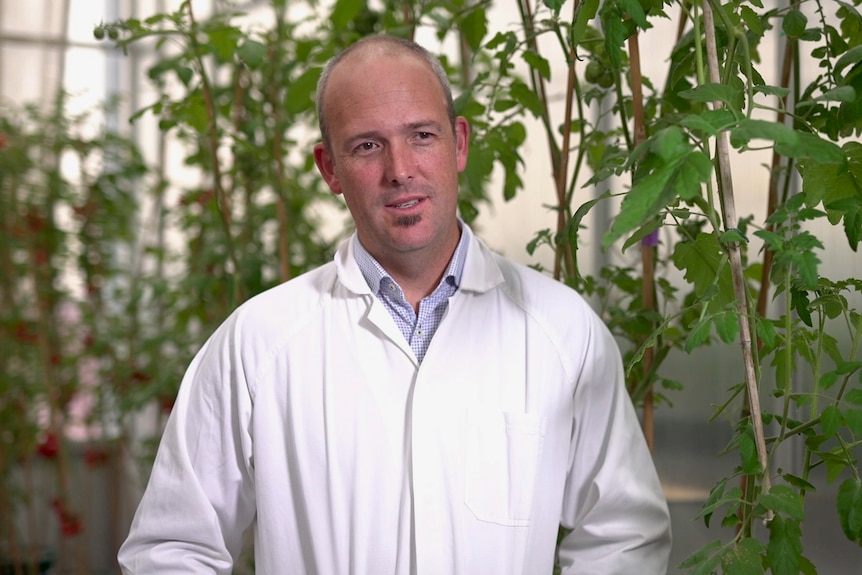 A man in a white coat stands in front of green crops.