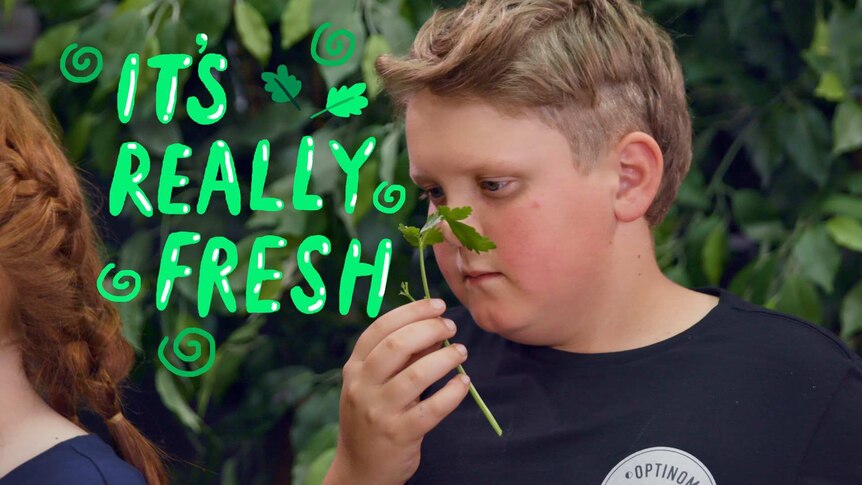 Teenage boy holds sprig of parsley, text overlay reads "It's really fresh"
