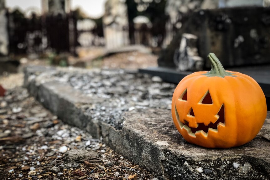 A carved pumpkin in the Halloween style resting on a gravestone at bendigo cemetery.