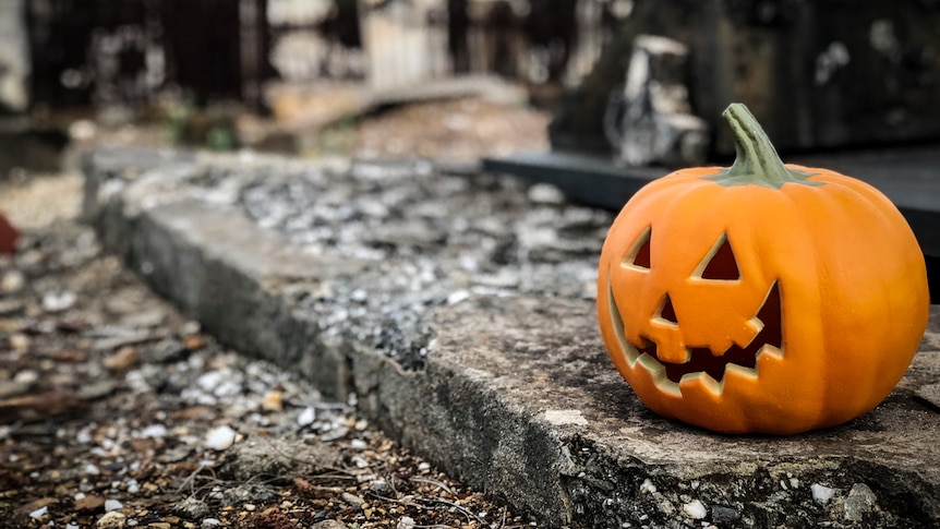 A carved pumpkin in the Halloween style resting on a gravestone at bendigo cemetery.