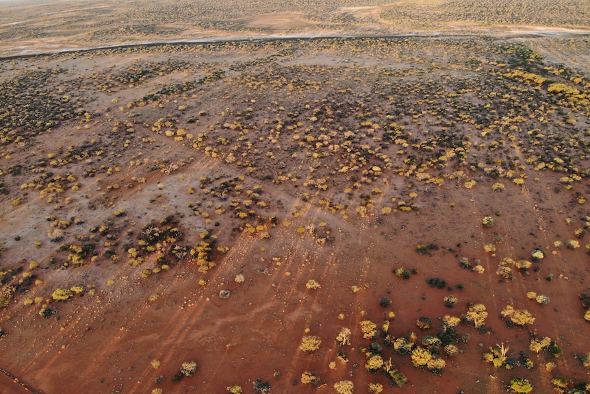 An aerial image showing dry red landscape and minimal shrubs 