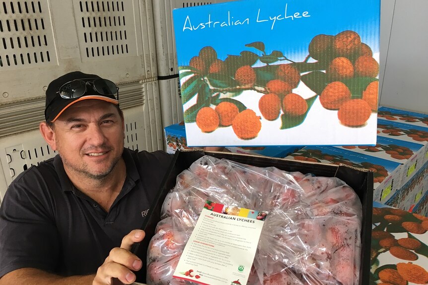 A grower displays a specially branded box of lychees, wrapped in an airtight bag to meet export protocols