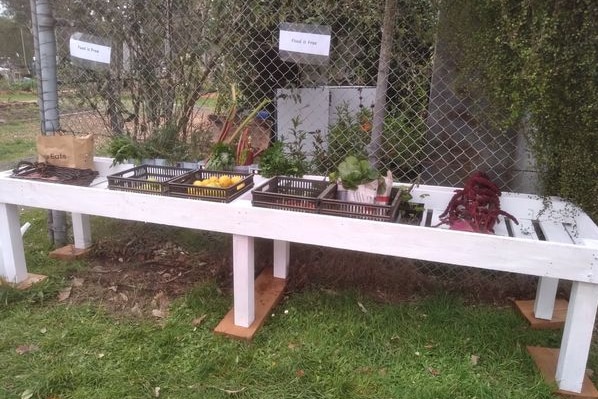 table of fresh volunteer grown produce being offered for free