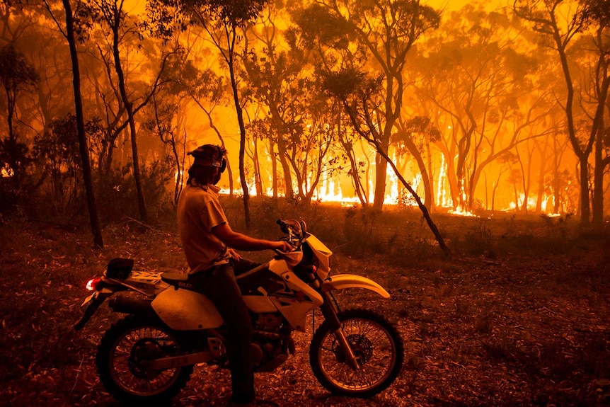 A man on a motorbike observes bushfire near Wollemi, 2020