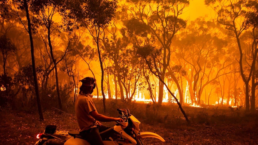 A man on a motorbike is surrounded by bushfire.