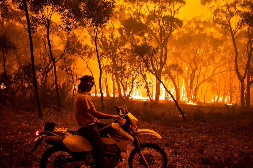 A man on a motorbike is surrounded by bushfire.