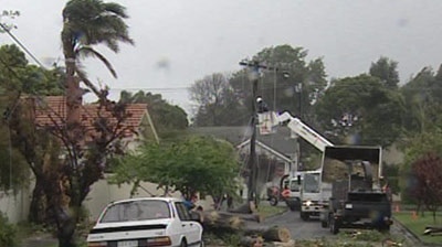 Blown away: Storms in Melbourne have caused flash floods and blackouts.