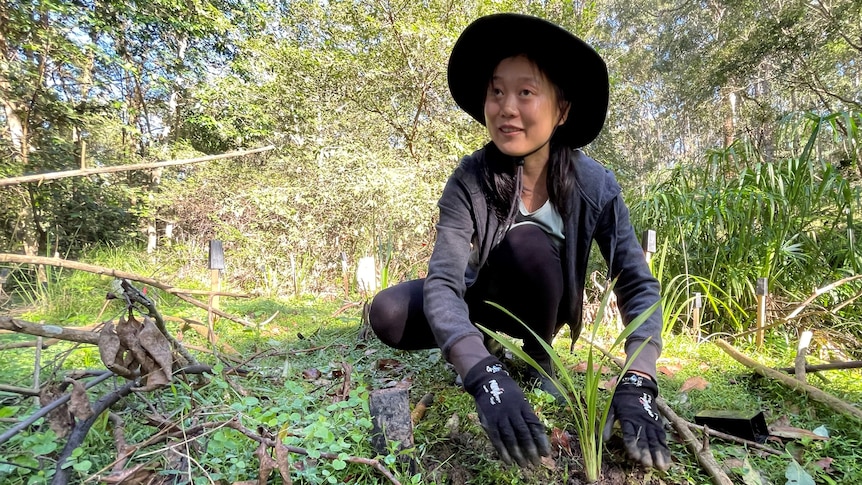 A smiling woman planting a bulb