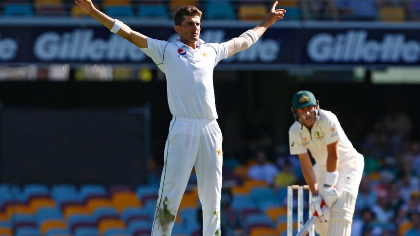 Shaheen Afridi stands with his arms raised. Behind him, Marnus Labuschagne leans on his bat and is sad.