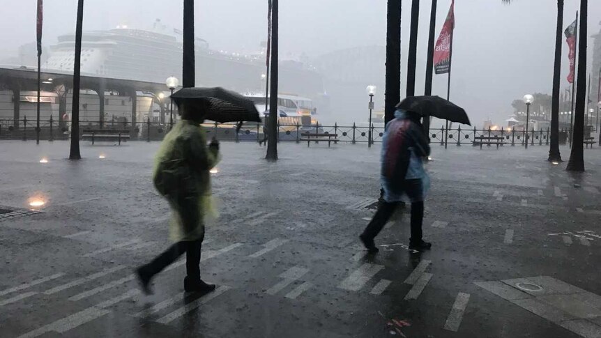 Pedestrians with umbrellas in the rain at Circular Quay